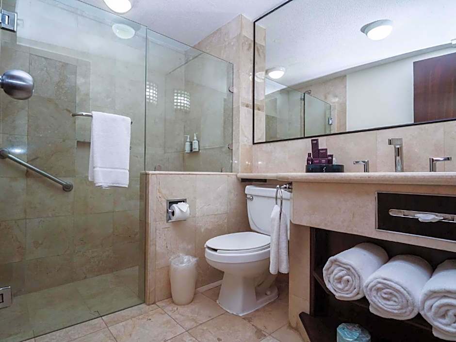 HS HOTSSON Hotel Tampico