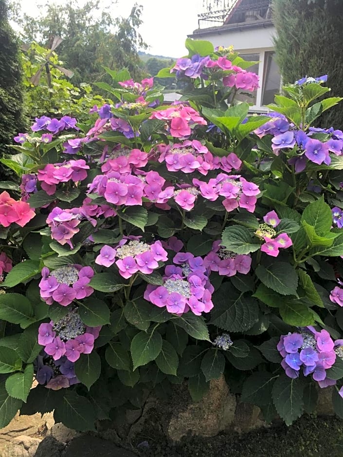 Kaszubskie Apartamenty nad jeziorem