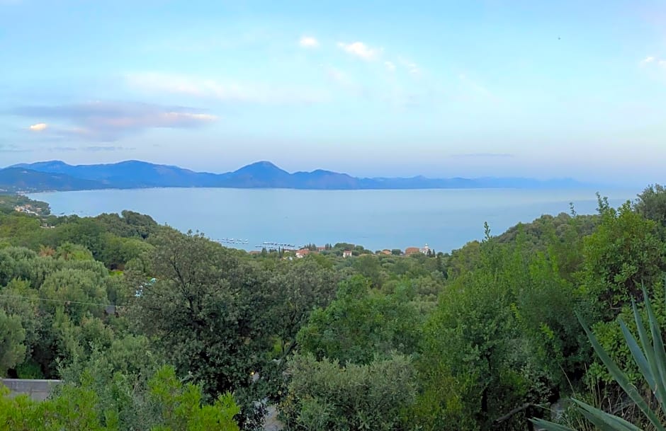 Maison Du Reve Scario