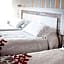 Hotel Albero
