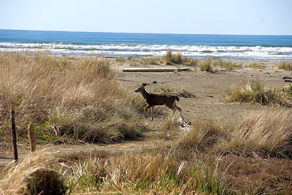 Quinault Beach Resort & Casino