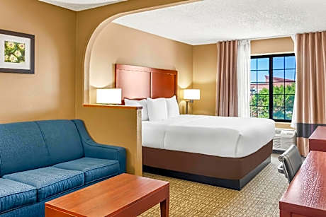 1 King Bed, Suite, Nonsmoking