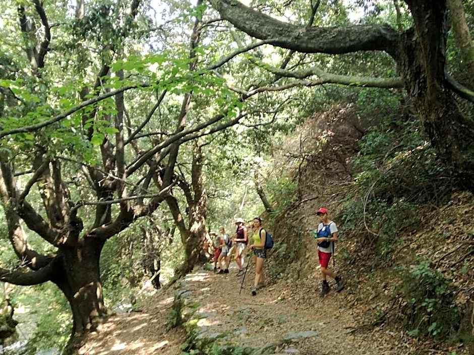 Gikas Apartments Triple Studio Sea View B7