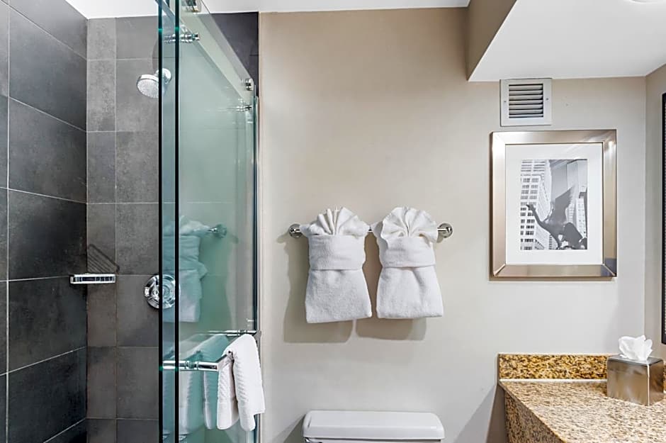 DoubleTree by Hilton Roseville Minneapolis