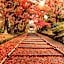 Four Points Flex by Sheraton Kyoto Oike
