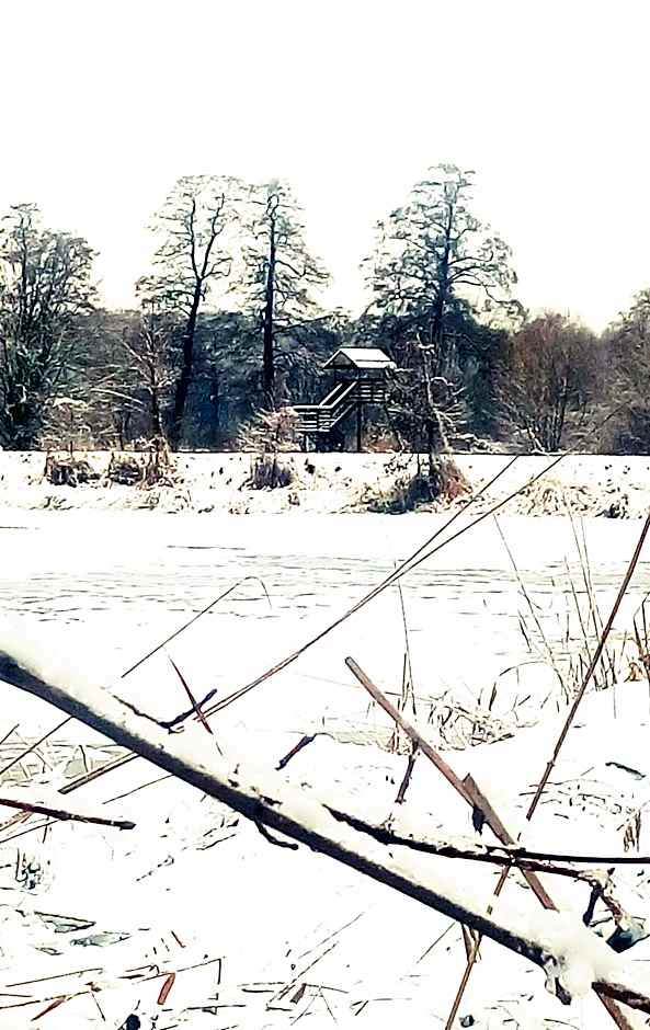 4 Żywioły Falenty Ośrodek Konferencyjno-Szkoleniowy