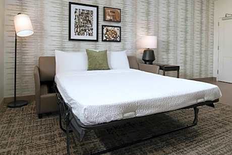 One-Bedroom Queen Suite