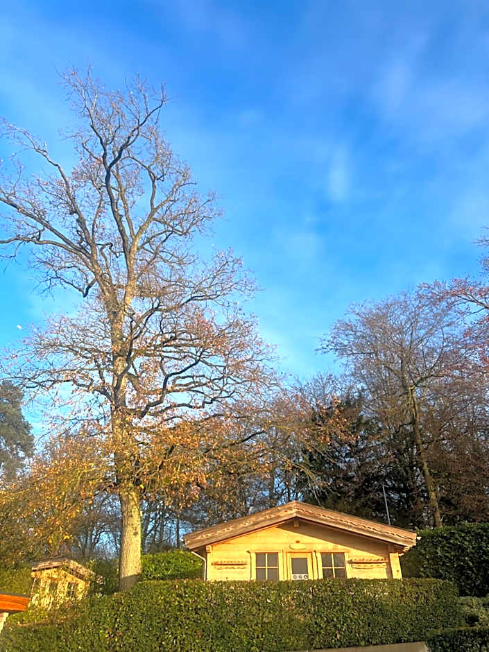 Mondorf Parc Hotel & Spa