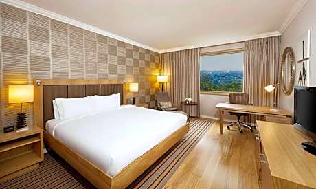 One Bedroom Deluxe Suite