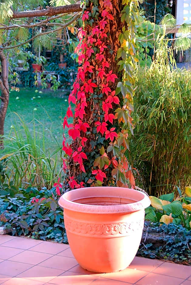 ambiente solutions apartments