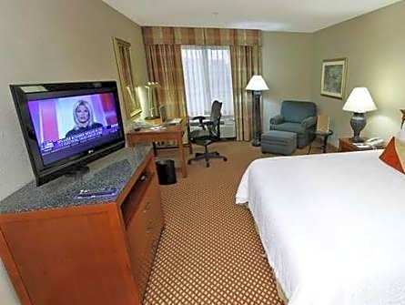Junior Suite Queen Bed