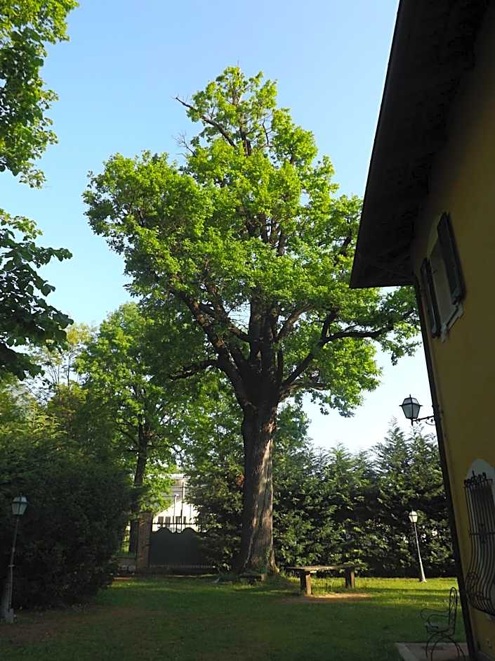 Villa Mirano Bed & Breakfast
