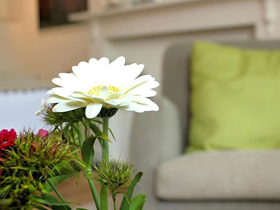 B&B Alphabet - Luxury Guesthouse and Art Gallery