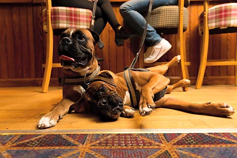 Warkworth House Hotel