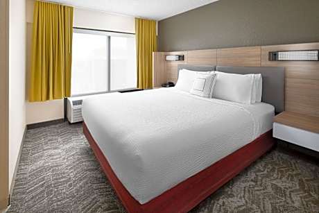 King Suite with Sofa Bed