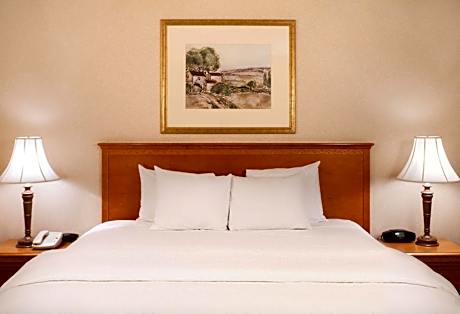 King Room with Sofa Bed and Study - Non-Smoking