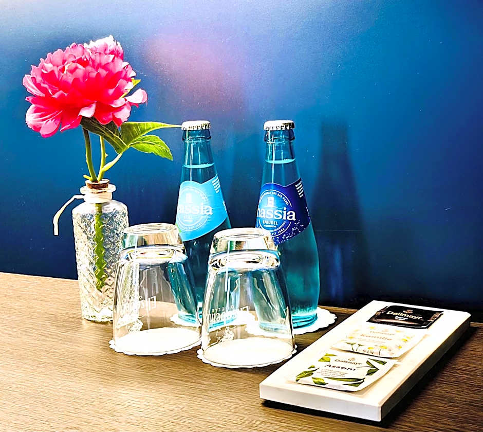 Arthotel Ambassador Wiesbaden - FREE PARKING