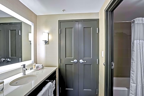 1 King or 2 Queen Accessible Tub 2 Bedroom Suite Non-Smoking