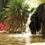 jardin d'antan