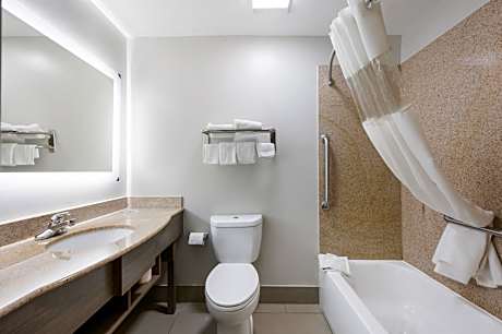 Premium King Room Smoke Free (Upgraded Bedding and Snack Box)
