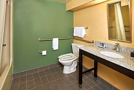 1 Queen Bed, Nonsmoking, Accessible