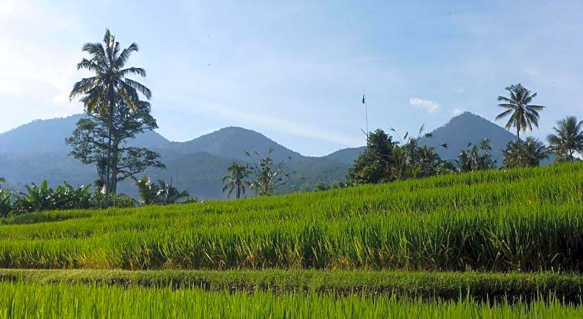 Lesong Hotel and Restaurant