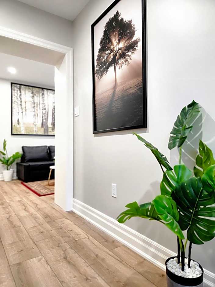 The Cozy Cove Modern King-Bedroom Full Apartment