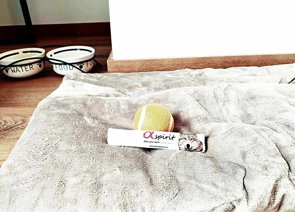 Hotel Matilde by gaiarooms