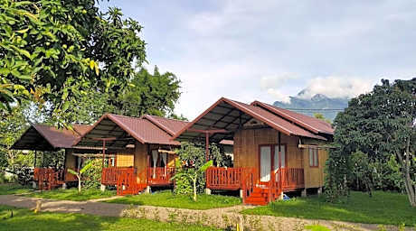 Chiang Dao Reset