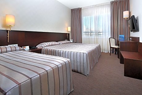 Double Room Single Use (1 Double Bed)