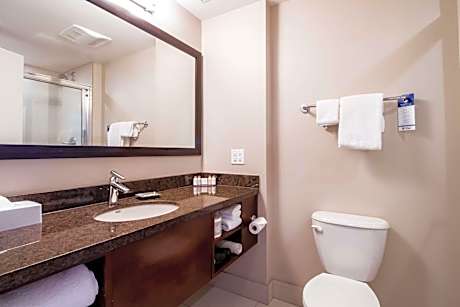 King Suite - Pet Friendly/Non-Smoking