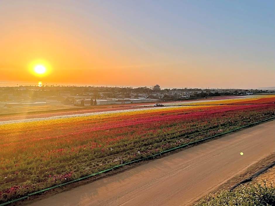 Holiday Inn Carlsbad/San Diego By IHG