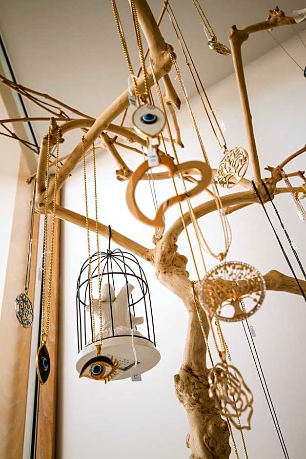 Aelia Wellness Retreat