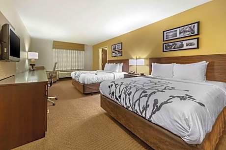 2 Queen Beds Nonsmoking Accessible