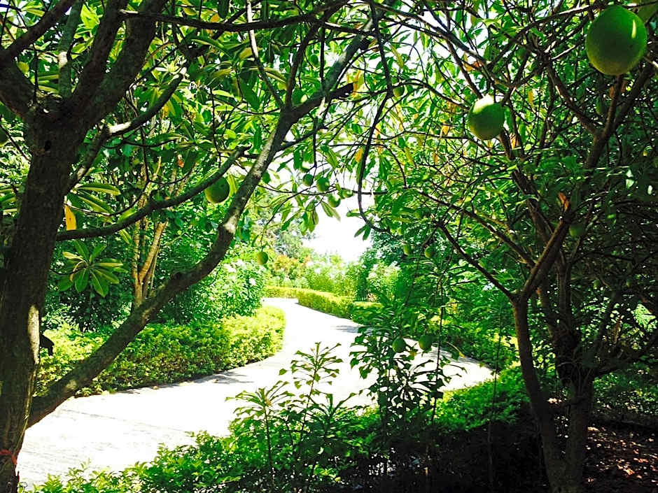 Khaoyai Nature Retreat