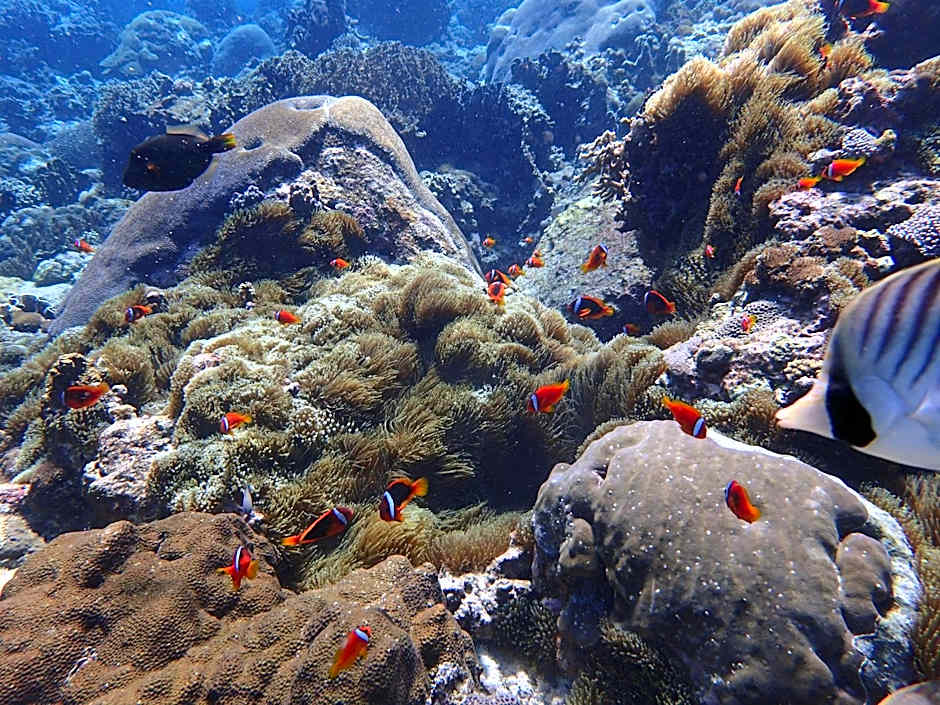 Good Viewing Spot B&B