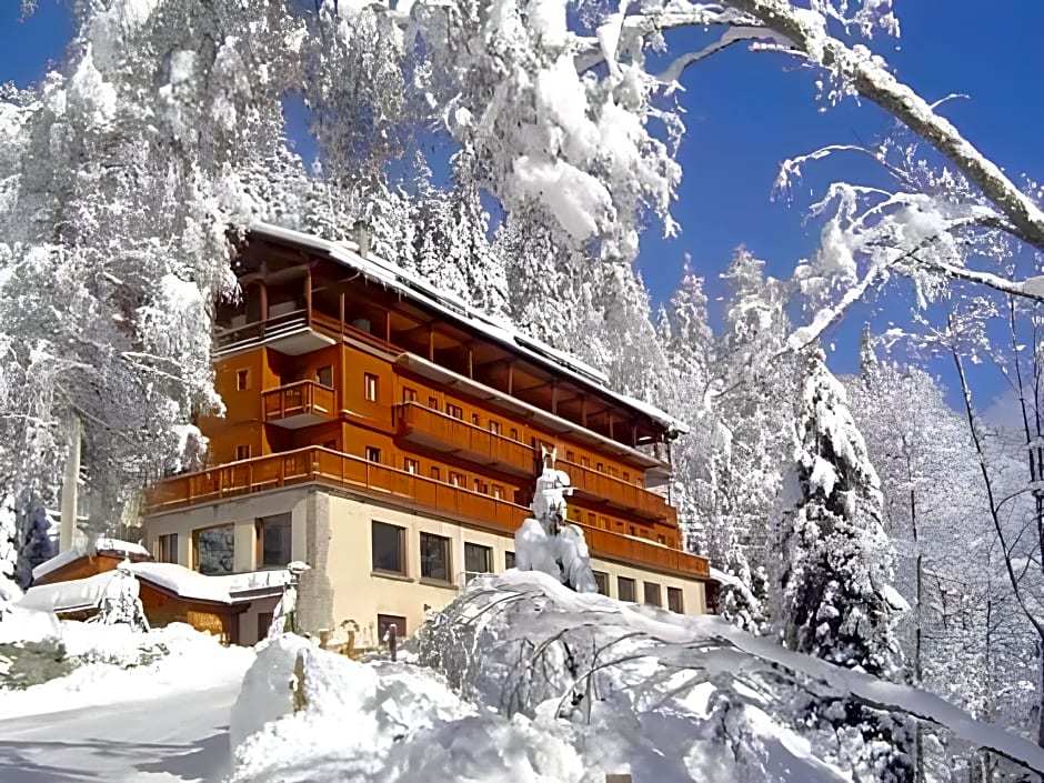 Chalet Hotel Les Campanules