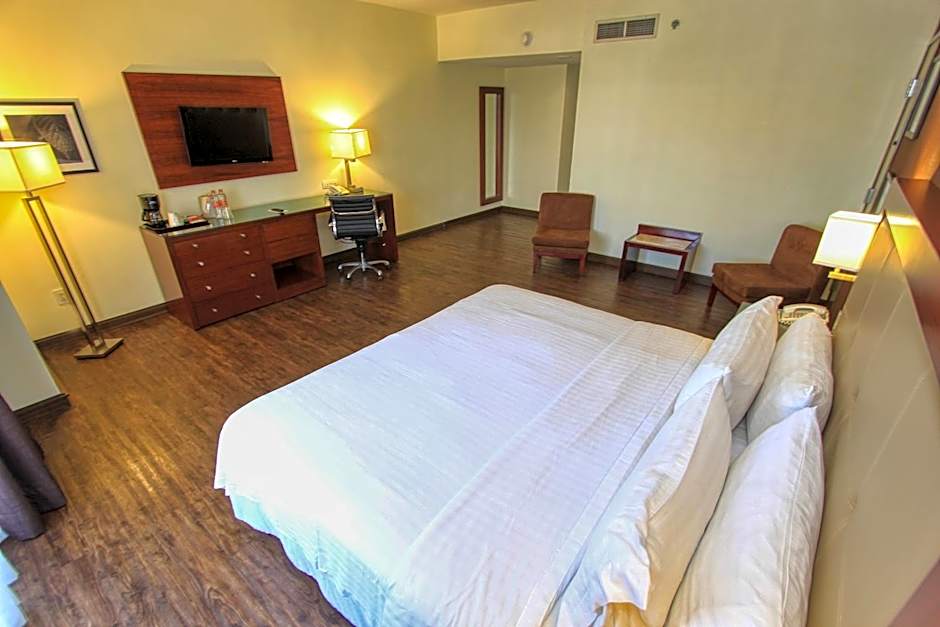 Holiday Inn Leon By IHG