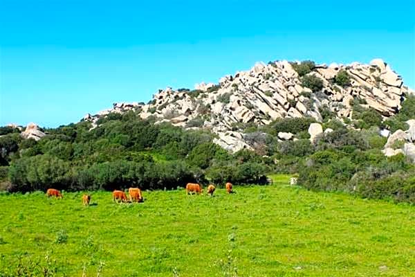 Costa Serena Village Boschetto Holiday