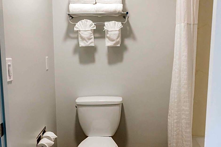 Quality Inn & Suites Lathrop