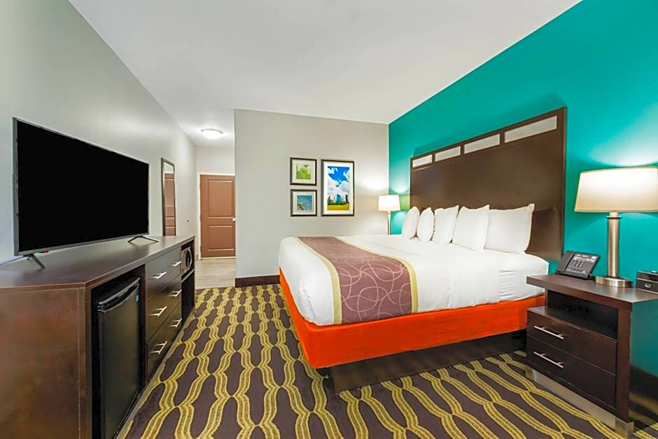 Photo 1 of 5 of Standard 1 King Bed