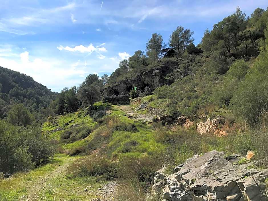 B&B the lost Village el Acebuchal