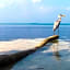 Endheri Sunset Dhangethi