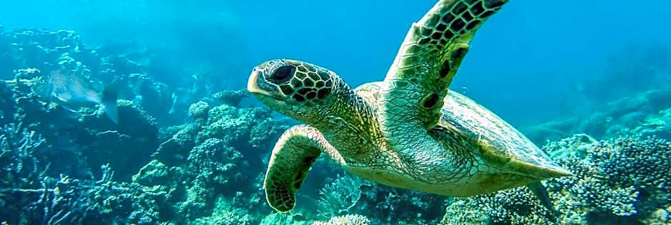 Ningaloo Lodge Exmouth