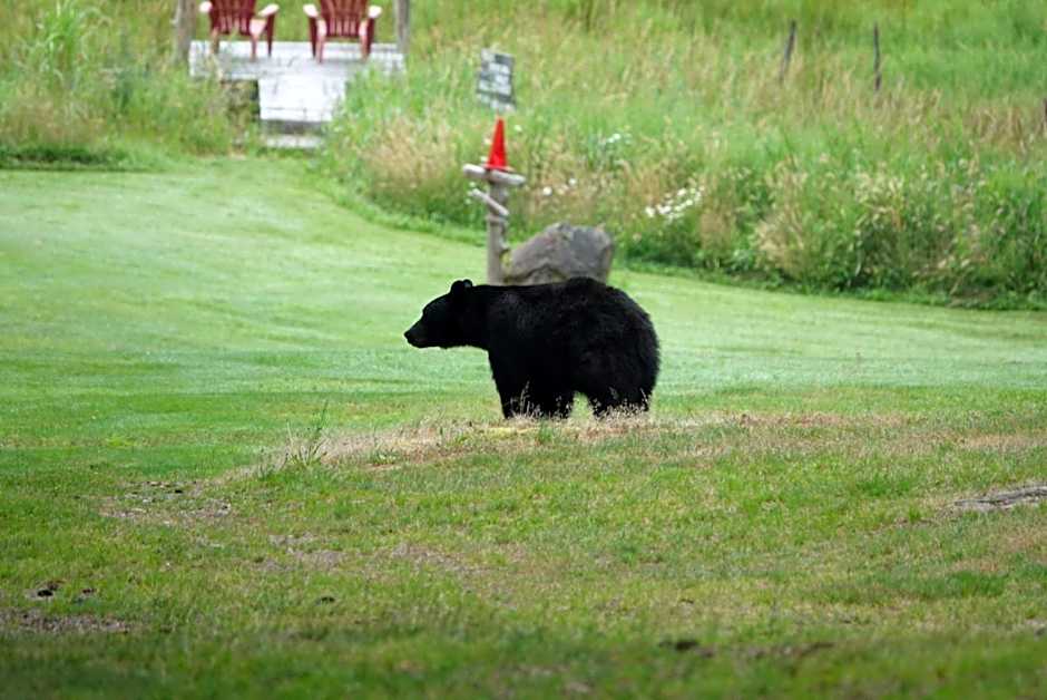 Beaver Hut Bed And Breakfast