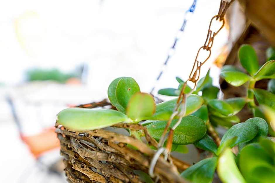 Morfeo Charming Rooms & Relax