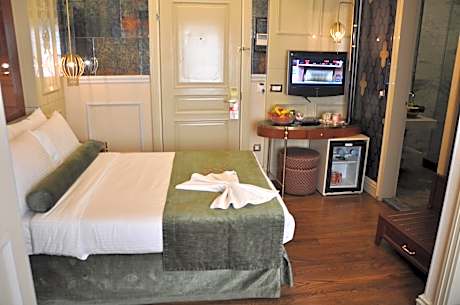 Standart Double or Twin Room