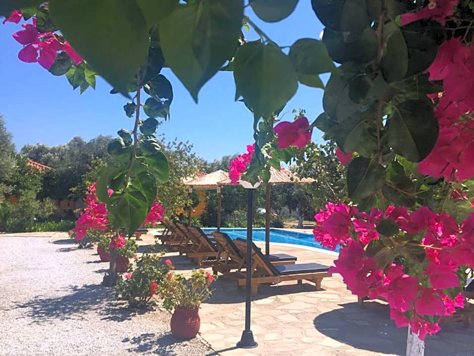 Anastasia Apartments