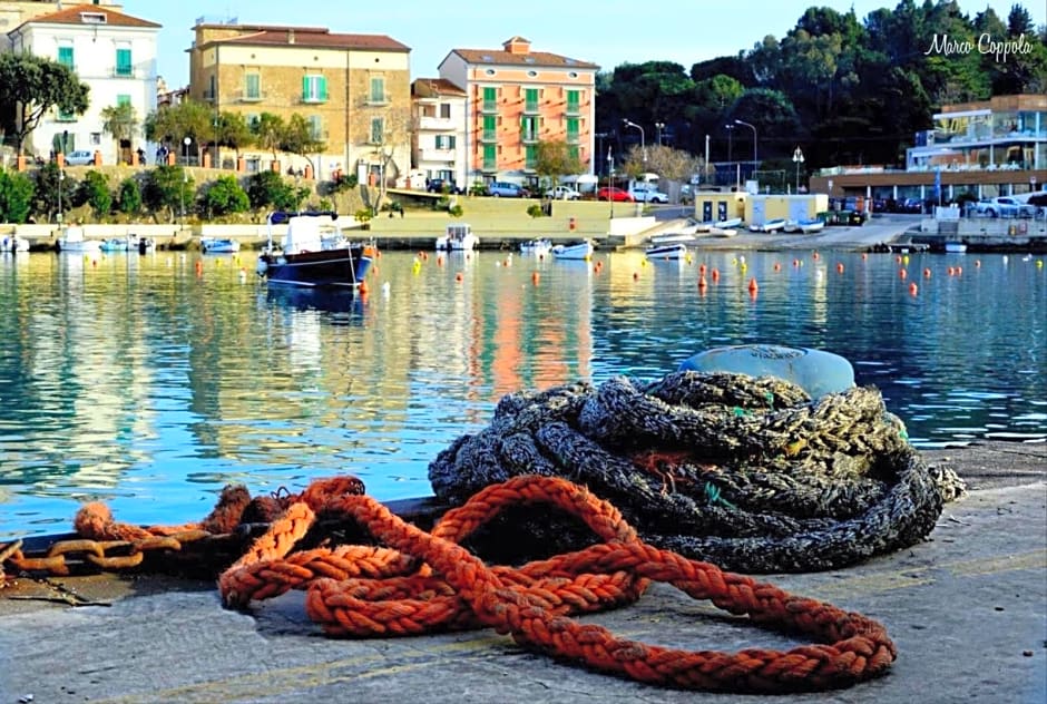 Quasi in Porto Rooms