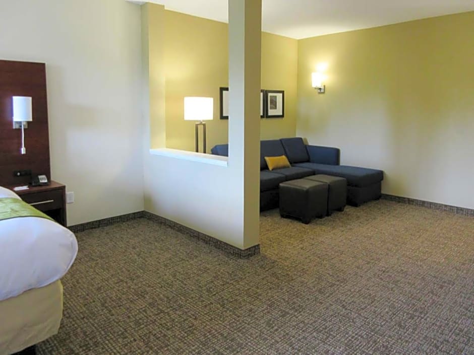 Comfort Suites Greenville South